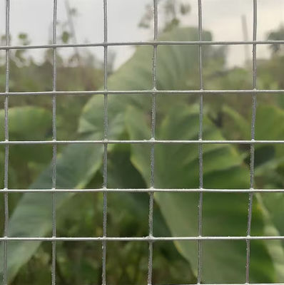 Fence di protezione per animali a maglia galvanizzata a caldo da 1 pollice