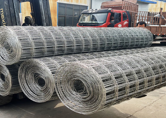 Rollo di maglie galvanizzate per reti per conigli e polli 30m 50m lunghezza