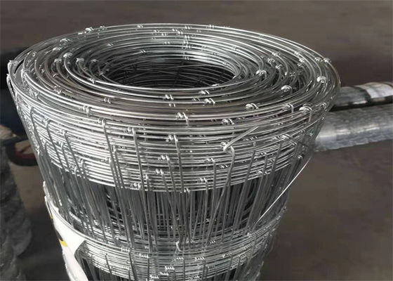 Fence a maglia di ferro galvanizzato colore argento con rivestimento di zinco immerso a caldo per un'installazione facile