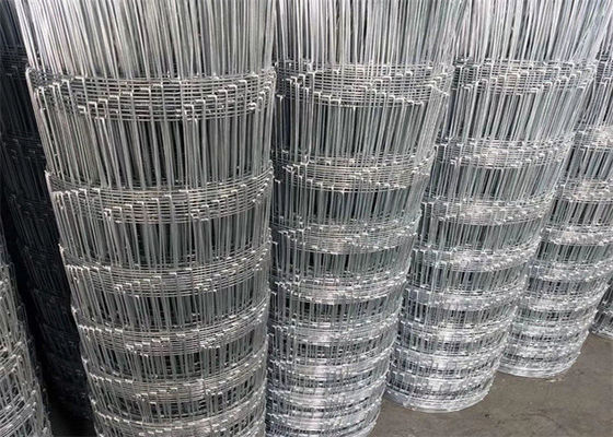 Fence di campo per allevamenti di bovini e capre elettro-galvanizzata