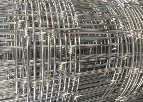 Cina Agricoltura Galvanizzata Agriturismo Rurale Recinzione 6 piedi per la fattoria