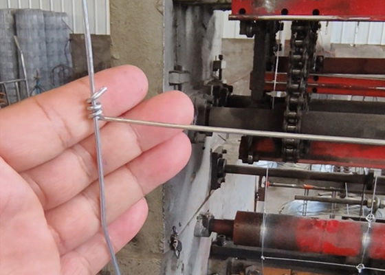 Fence a maglia di filo con palo Y T e maglia di cervo di 1,8 mm-3.0 mm di diametro