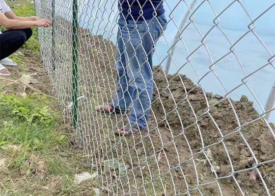 Griglia galvanizzata a catena quadrata con legame di rete di recinzione da 0,5 m-4 m. Esistono campioni gratuiti