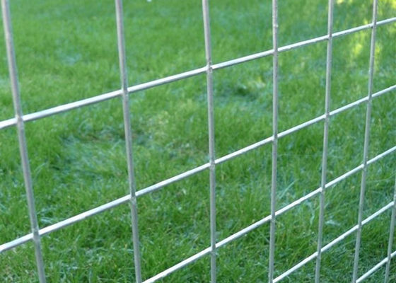 Pannello a maglia saldata resistente alla corrosione con rivestimento in PVC galvanizzato