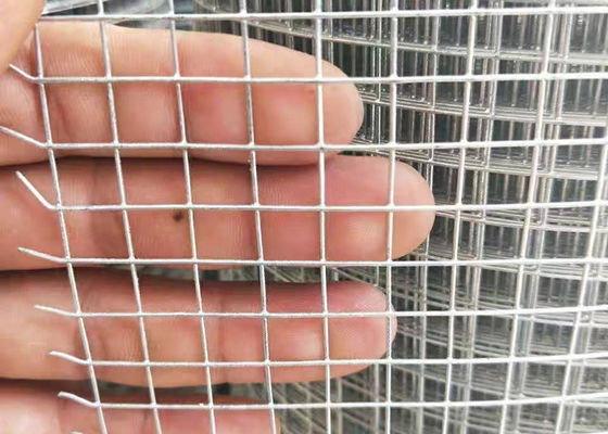 Caldo immerso galvanizzato rete di filo di ferro 1/2 pollice Saldato rete di filo di ferro Fence Roll