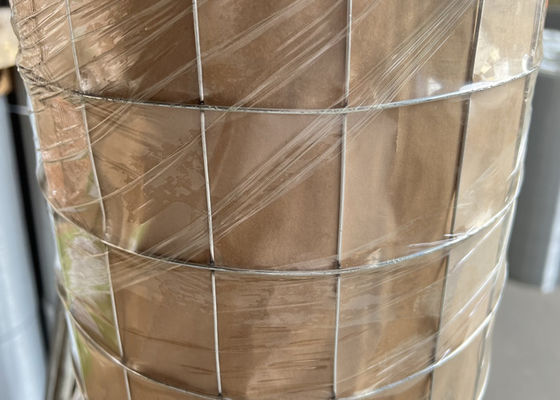 10 - 50 m lunghezza 16 calibro maglia di ferro galvanizzato saldata con diametro di filo 0,5 mm - 4,0 mm