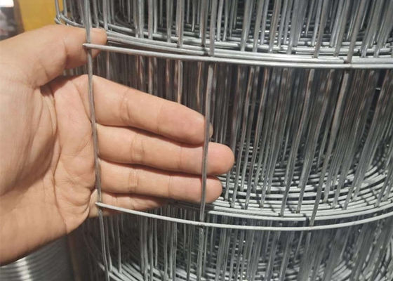 Dispositivi di rete di filo di ferro galvanizzato saldatura fori quadrati resistenti alla corrosione per protezione e decorazione.