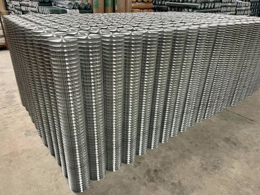 304 Acciaio inossidabile Saldato reticolare reticolare reticolare reticolare reticolare reticolare reticolare reticolare reticolare reticolare reticolare
