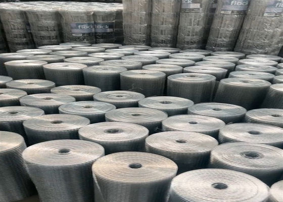 16 Gauge Galvanizzato Saldato Fuoco di Fuoco di Fuoco di Fuoco di Fuoco di Fuoco di Fuoco di Fuoco di Fuoco di Fuoco di Fuoco di Fuoco di Fuoco di Fuoco di Fuoco di Fuoco di Fuoco di Fuoco di Fuoco di Fuoco di Fuoco di Fuoco di Fuoco di Fuoco di Fuoco di Fuoco di Fuoco di Fuoco di Fuoco di Fuoco di Fuoco di Fuoco di Fuoco di Fuoco di Fuoco di Fuoco di Fuoco BWG12-BWG27 Lunghezza 30m-50m
