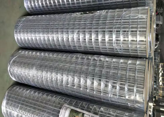 Fornitura di rete di filo saldato in acciaio inossidabile conveniente per gli acquirenti