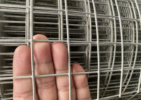 Disponibile un campione gratuito di rete di filo galvanizzato saldato a caldo 14 16 gauge