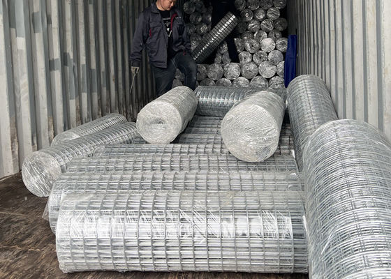 Pantaloni di rete di filo di ferro saldato galvanizzati per impianti agricoli pesanti Resistenza 350-500MPa