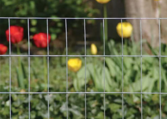 1/2 x 1/2 1/4 pollice Galvanizzato Saldato Fence Mesh Fence Zinc Coating Elettro Galvanizzato 10-15g/m2 Basso Carbonio Acciaio Q195