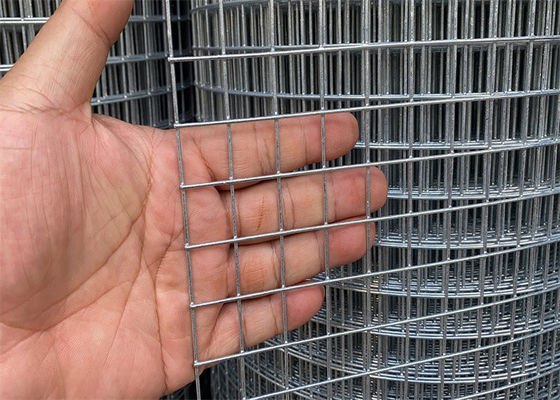 Griglia di ferro galvanizzato a foro quadrato Griglia di filo saldato per recinzione delle finestre
