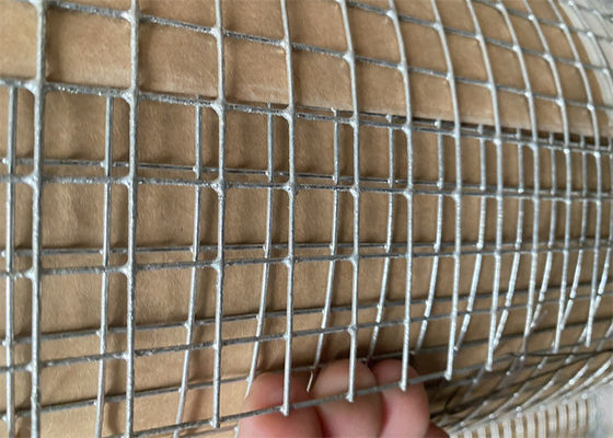 50M Galvanizzato Saldato Wire Mesh Roll con campione gratuito