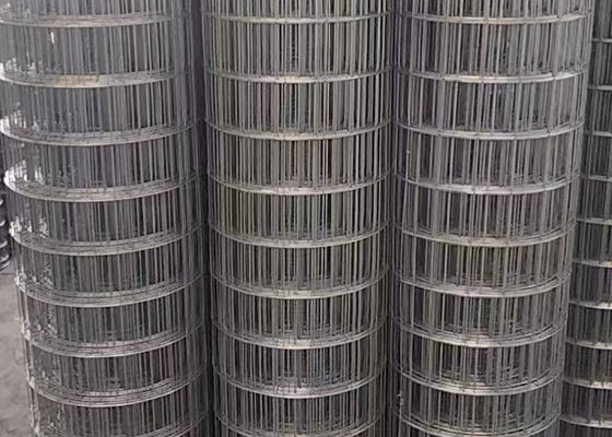2 x 4 maglia galvanizzata pesante e resistente per 1'maglia dimensione 8 calibro maglia saldata