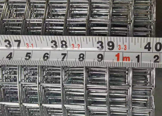 Rollo o pezzo di maglia di filo galvanizzato saldata a caldo per recinzioni di allevamenti di polli Lunghezza 30m 50m