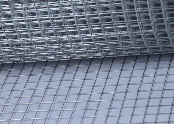 1/2 pollice elettrico galvanizzato mesh di filo saldato per tessuto hardware