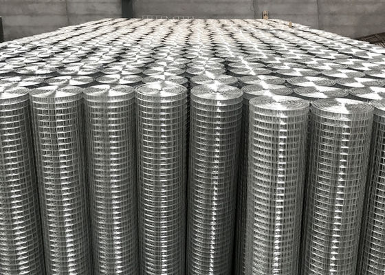 Superficie liscia argento elettro galvanizzato filo di maglia saldato rotoli 10-15g rivestimento di zinco