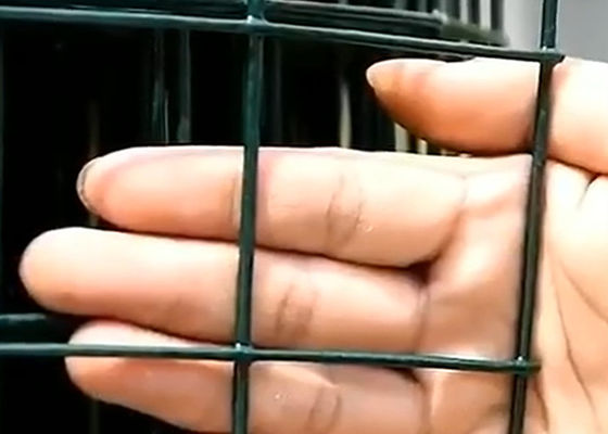 Pannelli di recinzione galvanizzati a basso tenore di carbonio in PVC nero rivestito di filo di ferro saldato 15M 30m