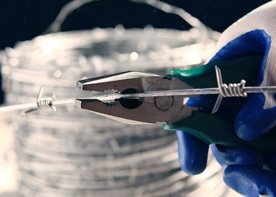 Fermaglio di fili spinati d'argento per la protezione delle recinzioni