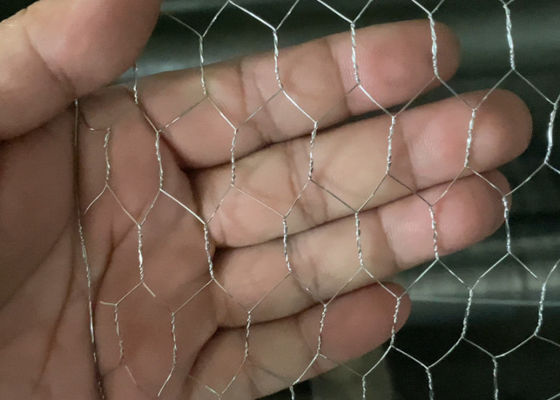 Galvanizzato gallineria maglia esagonale protezione del giardino campione gratuito