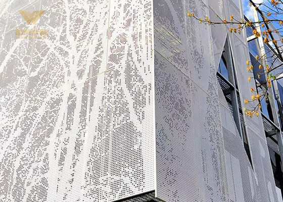 Decorazioni esterne personalizzate con pannelli di metallo stampati